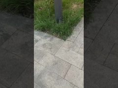 ✅ Засветите парк! Засветите газон, осветите жизнь.