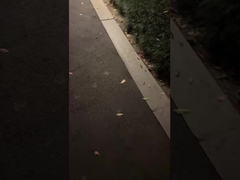 Ух ты! Какая классическая садовая лампа, освещает твою ночь!