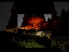 Посмотрите на эту яркую лампу Лван