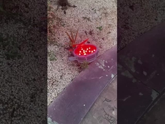 Какие красивые лампы в парке развлечений!