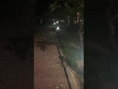 Наружные светофоры для дорожек - освещение парков