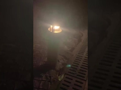 Осветите парикмахерские с помощью пейзажей на газоне!